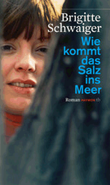 Brigitte Schwaiger: Wie kommt das Salz ins Meer